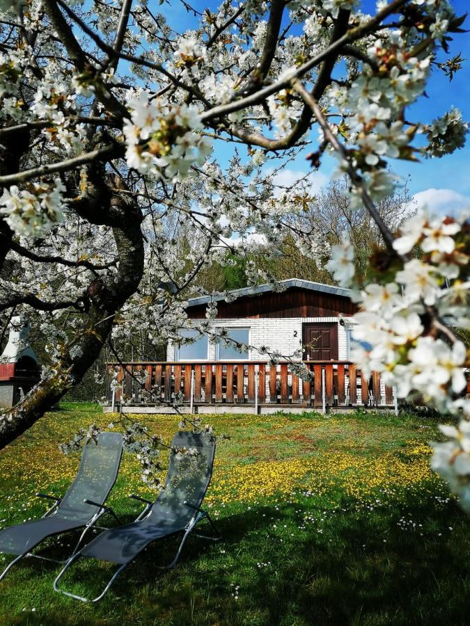 Ferienhaus Chiara, Suedharz, Harztor Ilfeld Bagian luar foto