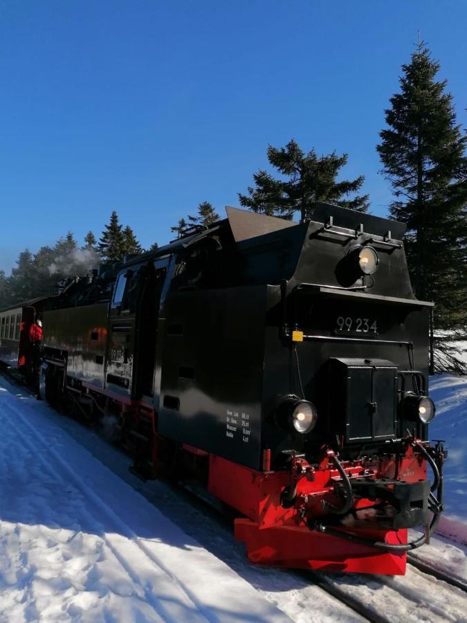 Ferienhaus Chiara, Suedharz, Harztor Ilfeld Bagian luar foto